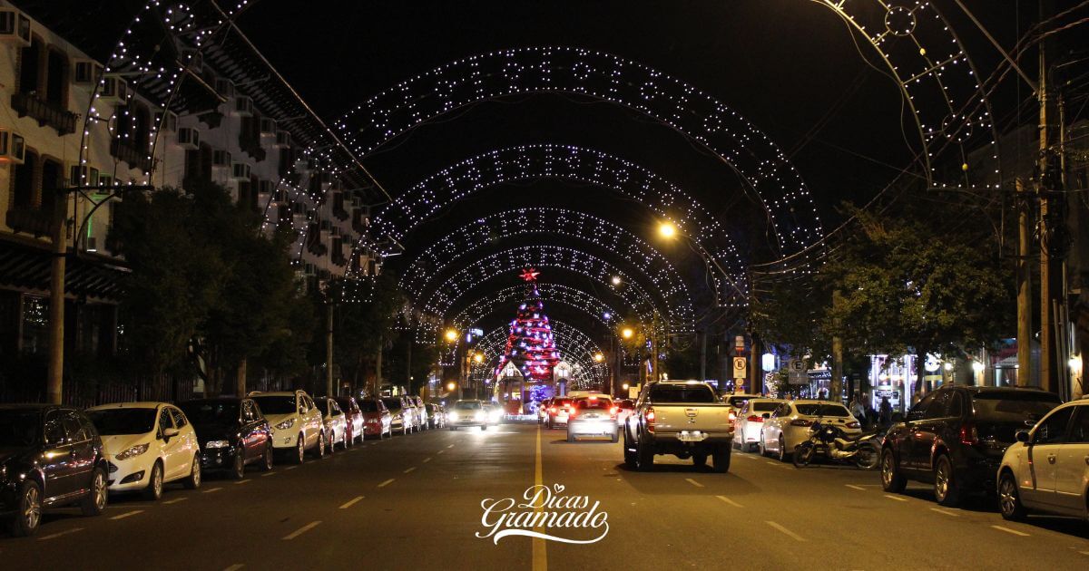 Curiosidades do Transito em Gramado